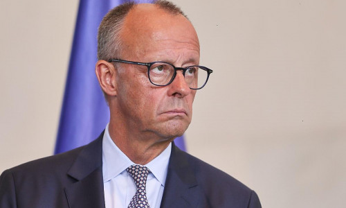 Friedrich Merz (Archiv)