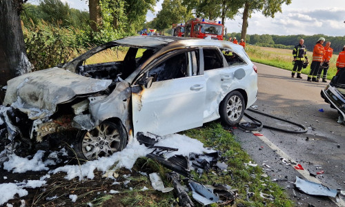 Das Auto hatte durch den Aufprall Feuer gefangen.