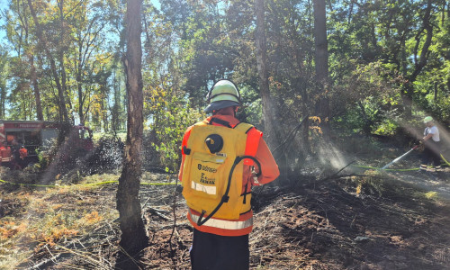 Innerhalb von 24 Stunden musste die Feuerwehr zu einem Waldbrand ausrücken.