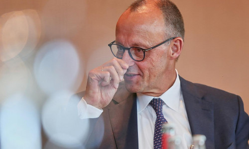 Friedrich Merz (Archiv)