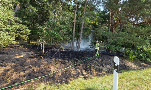 Die Brandstelle erstreckte sich über eine Fläche von etwa 500 Quadratmetern.