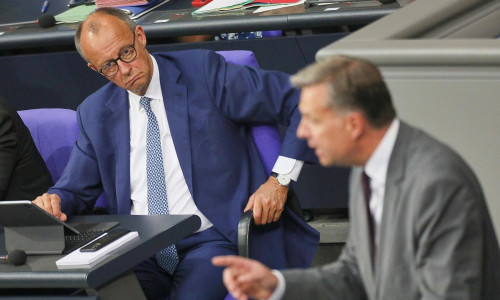 Friedrich Merz und Stephan Mayer (Archiv)