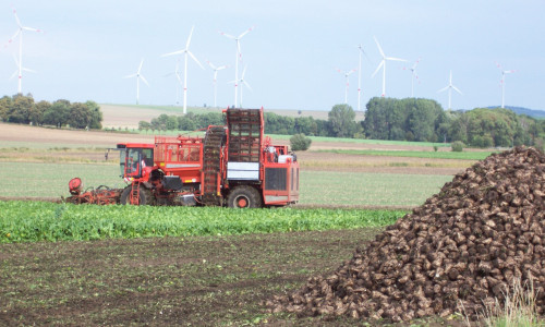 Während der Herbsternte sind viele Erntefahrzeuge unterwegs. 
