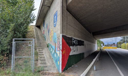 Die Schmierereien an der Brücke bei Fümmelse sollen weg. 