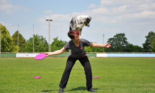 Beim Dog Frisbee haben Hund und Halter Spaß.