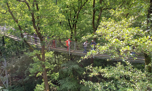 Der Baumwipfelpfad in Bad Harzburg ist eine touristische Erfolgsgeschichte. Nun wollen die Investoren und die Stadt Bad Harzburg das Gebiet, das bereits vor einigen Jahren um eine Baumschwebebahn ergänzt wurde, weiterentwickeln. In der touristisch vorgeprägten Zone soll anstelle des maroden Hochseilgartens eine WipfelErlebnisWelt entstehen.