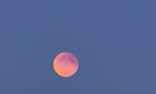 Gestern Abend färbte sich der Mond rot.