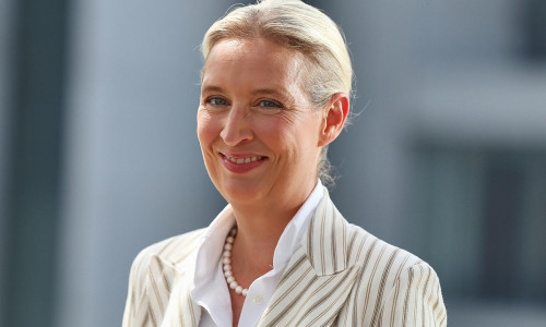 Alice Weidel (Archiv)