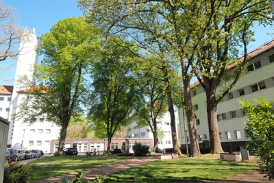 Das Stadtteilfest Bebelhof lädt zum Entdecken und Mitmachen ein.