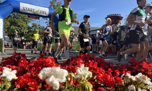 Am 12. September starten die HarzWanderWochen.