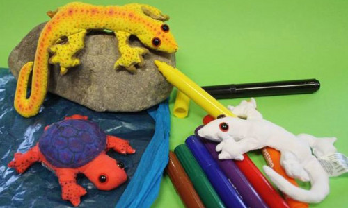 Kinder erwartet ein abwechslungsreiches Programm.