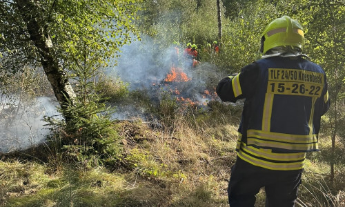 Insgesamt kämpften 35 Einsatzkräfte gegen das Feuer.
