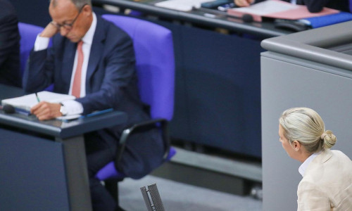 Friedrich Merz und Alice Weidel (Archiv)