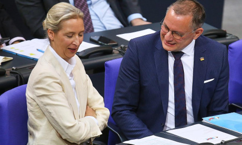 Alice Weidel und Tino Chrupalla (Archiv)