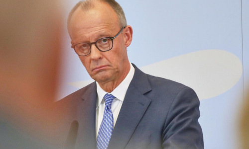 Friedrich Merz (Archiv)