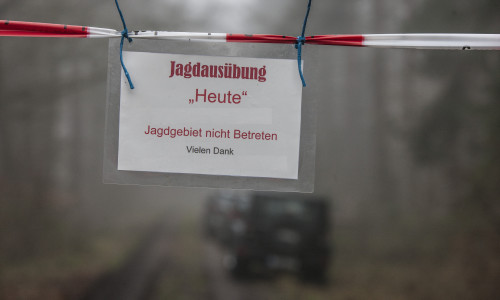 Im Barnbruch wird gejagt: Waldbesucher müssen sich auf Einschränkungen einstellen.