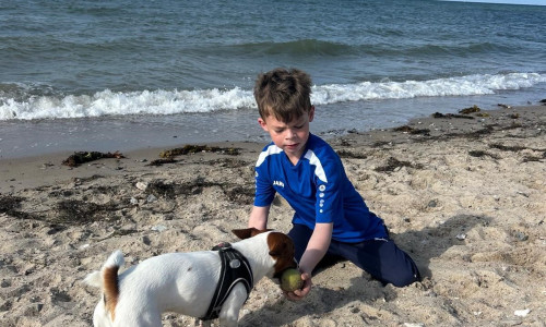 Der siebenjährige Finn aus Hoitlingen leidet an Blutkrebs