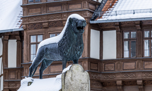 Burglöwe Braunschweig (Symbolbild).