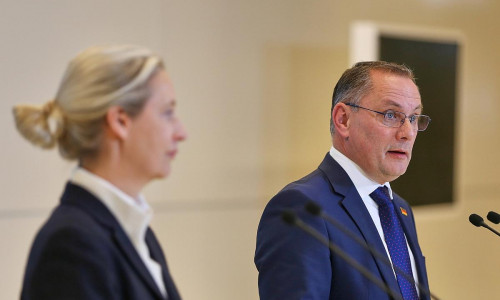 Alice Weidel und Tino Chrupalla (Archiv)