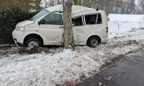 VW-Bus am Baum (Archiv)