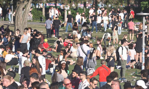 Junge Leute in einem Park (Archiv)