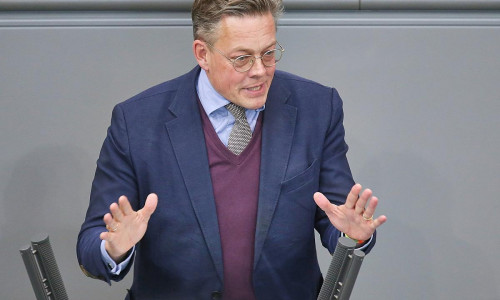 Konstantin von Notz (Archiv)