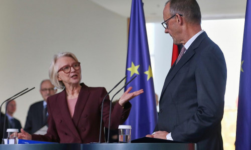 Monika Schnitzer und Friedrich Merz (Archiv)