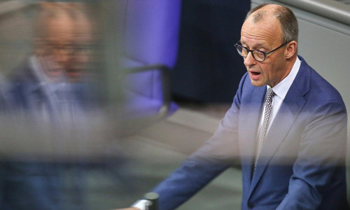Friedrich Merz am 29.01.2026