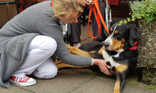 Ehrenamtliche der Wolfsburger Besuchshundestaffel sollen kranken und einsamen Menschen ein Lächeln ins Gesicht zaubern.