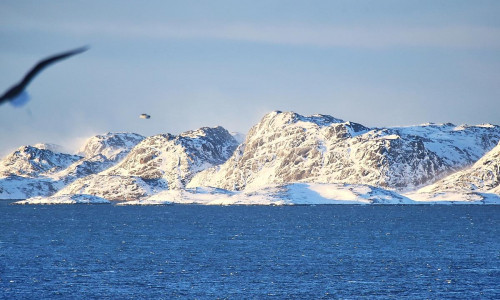 Grönland am 20.01.2026