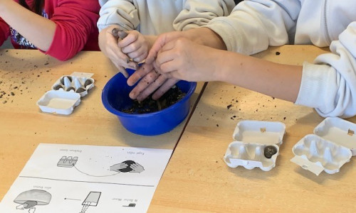 Schüler haben Samenkugeln hergestellt, die man aus Automaten ziehen kann.