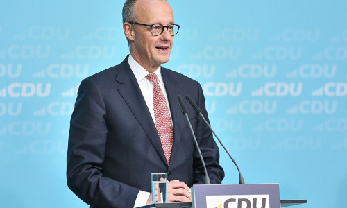Friedrich Merz am 19.01.2026