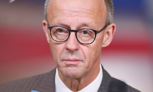 Friedrich Merz (Archiv)