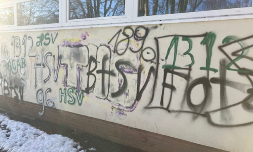 Reichlich Schmierereien zieren die Außenwände der Grundschule Adenstedt jetzt.