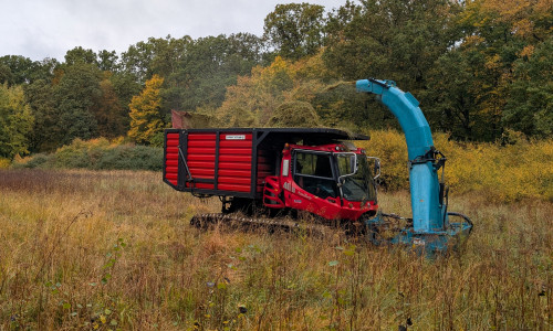 Im Landschaftsschutzgebiet „Lappwald“ beginnen Pflege- und Instandsetzungsarbeiten, die bis 2028 fortgeführt werden.