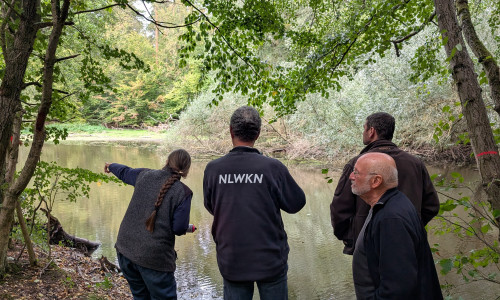Ortstermin am Teich im Dorm: Revierförsterin Antje Feldhusen (links) erläutert die geplanten Pflegemaßnahmen. Walter Wimmer (NLWKN), Marc Böhles (BUND, hinten) und Reinhard Wagner (NABU, vorne) verfolgen die Ausführungen. Die Maßnahmen wurden vor Ort mit Fachbehörde, Naturschutzverbänden, ÖNSA und Naturpark Elm-Lappwald vorgestellt.   
