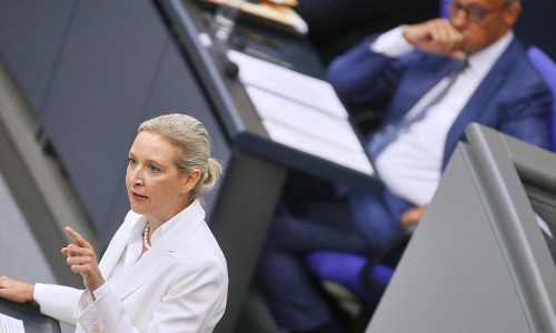 Alice Weidel und Friedrich Merz (Archiv)