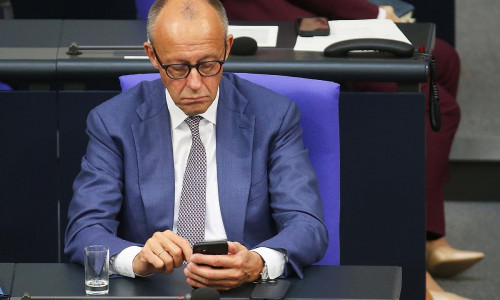 Friedrich Merz (Archiv)