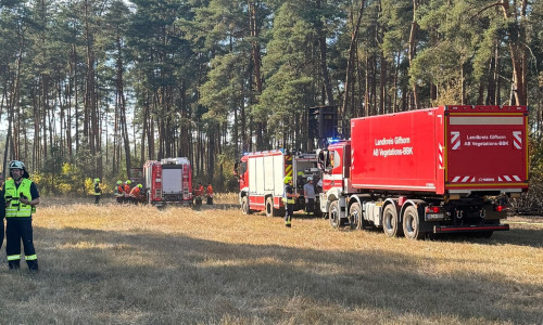 Rund 4.000 Quadratmeter Wald waren betroffen.