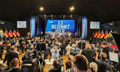 AfD-Wahlparty (Archiv)