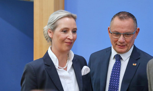 Tino Chrupalla und Alice Weidel (Archiv)