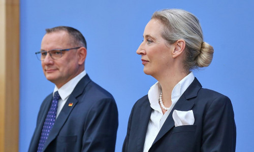 Tino Chrupalla und Alice Weidel (Archiv)
