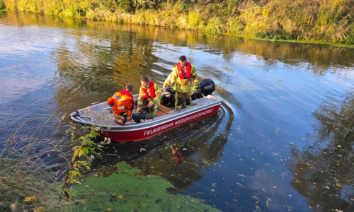 Die Retter fuhren mit einem Boot zu dem Schwan.