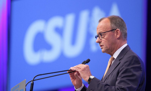 Friedrich Merz (Archiv)