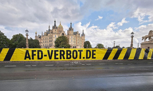 Demo für AfD-Verbot vor dem Landtag von Mecklenburg-Vorpommern (Archiv)
