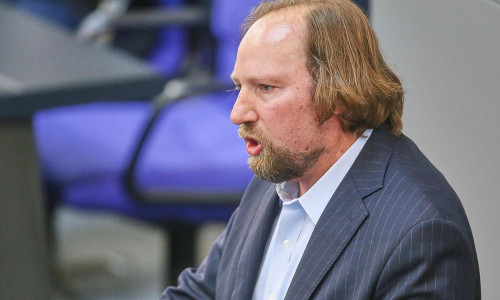 Anton Hofreiter (Archiv)