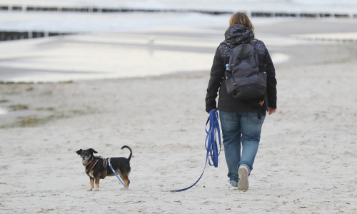 Strand (Archiv)