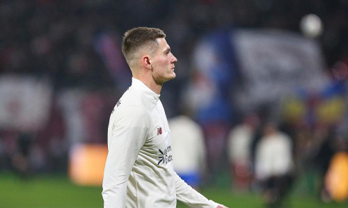 Patrik Schick (Archiv)