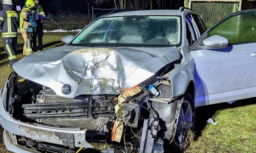 PKW kollidiert mit Baum und bringt diesen zu Fall  (Archiv)