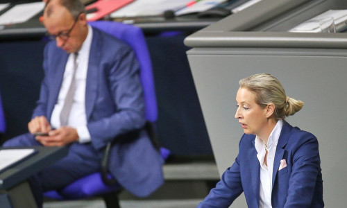 Friedrich Merz und Alice Weidel am 29.01.2026